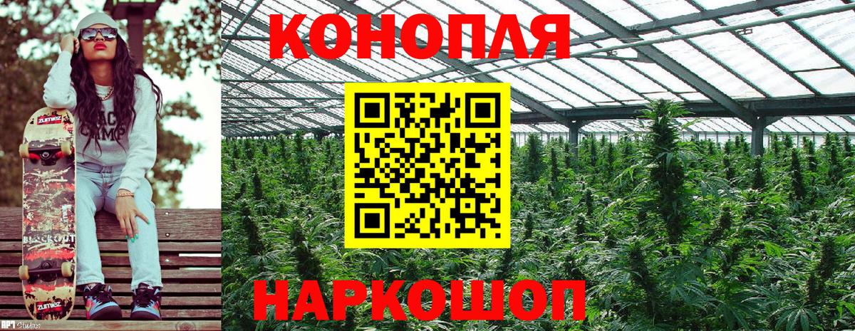 Бошки марихуана VHQ  Бошки Шишки план  Ростов Великий  Шишки марихуана THC 21%  Вход с VPN 